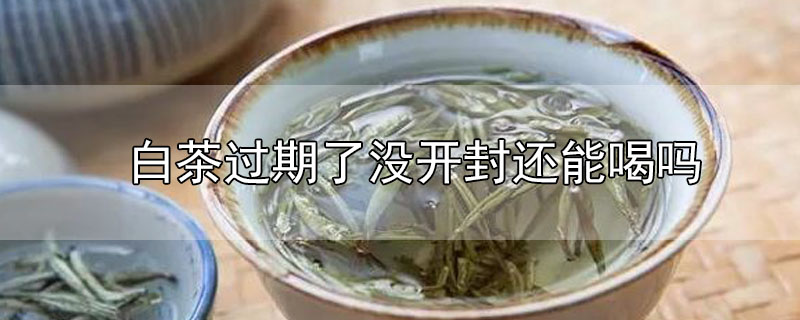 白茶過(guò)期了沒(méi)開(kāi)封還能喝嗎