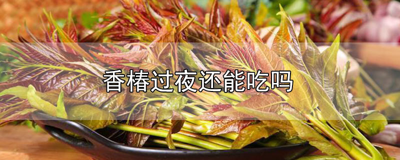 香椿過夜還能吃嗎