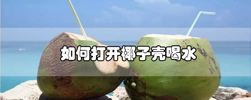 如何打開椰子殼喝水