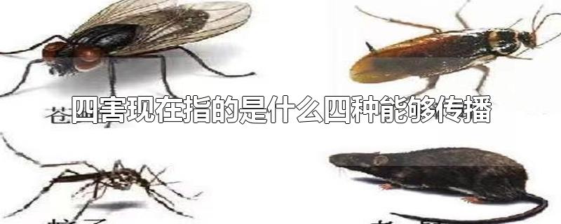 四害現(xiàn)在指的是什么四種能夠傳播