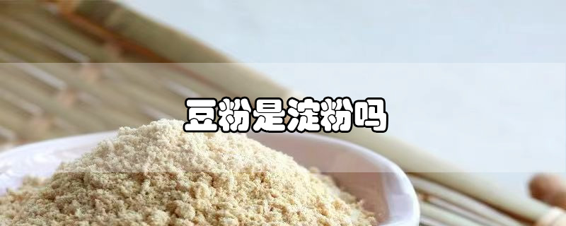 豆粉是淀粉嗎
