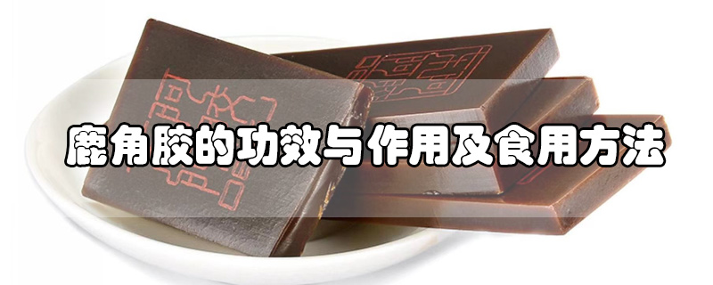 鹿角膠的功效與作用及食用方法