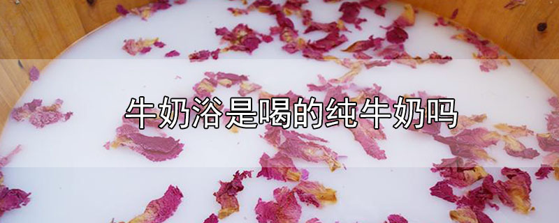 牛奶浴是喝的純牛奶嗎