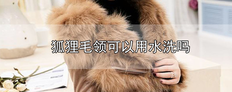 狐貍毛領(lǐng)可以用水洗嗎