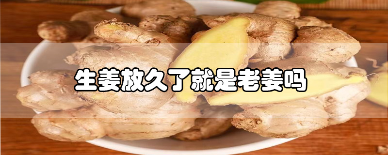 生姜放久了就是老姜嗎