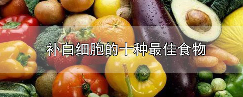 補(bǔ)白細(xì)胞的十種最佳食物