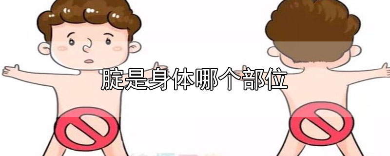 腚是身體哪個部位